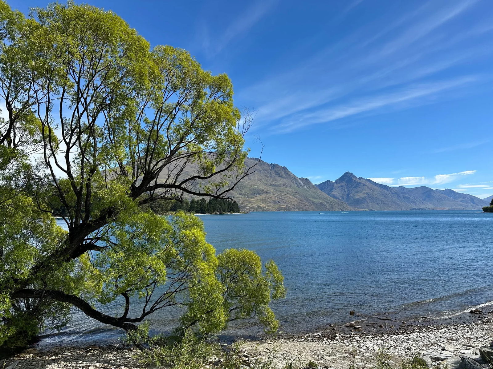 A tree overlooking a blue lake and mountain range