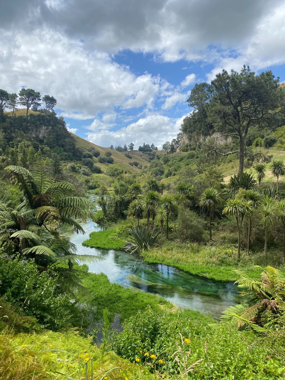 A peaceful river scene representing trust and growth