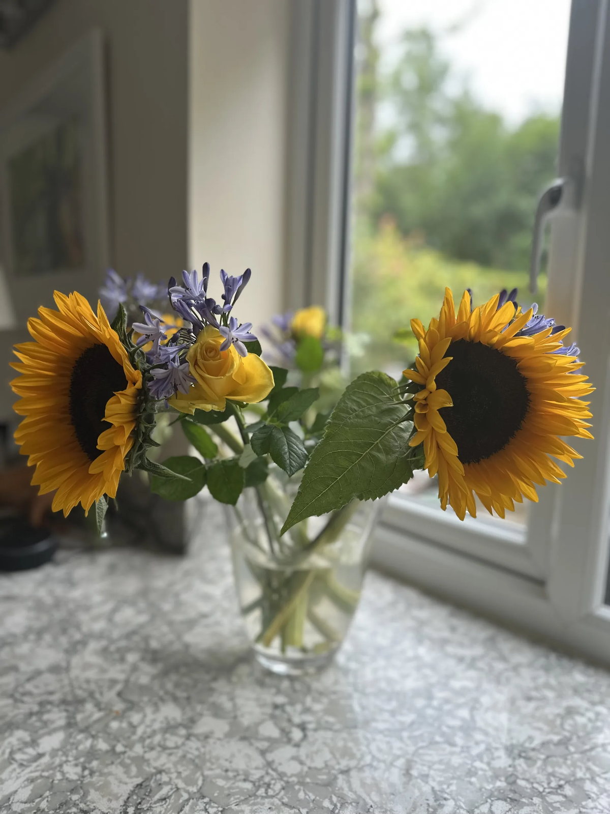 Sunflowers representing growth